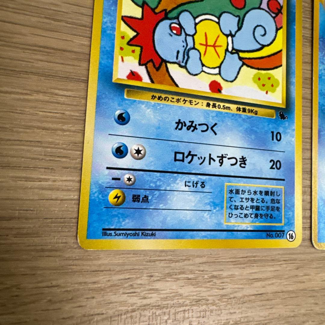 ゼニガメ、カメール イントロパック【5436