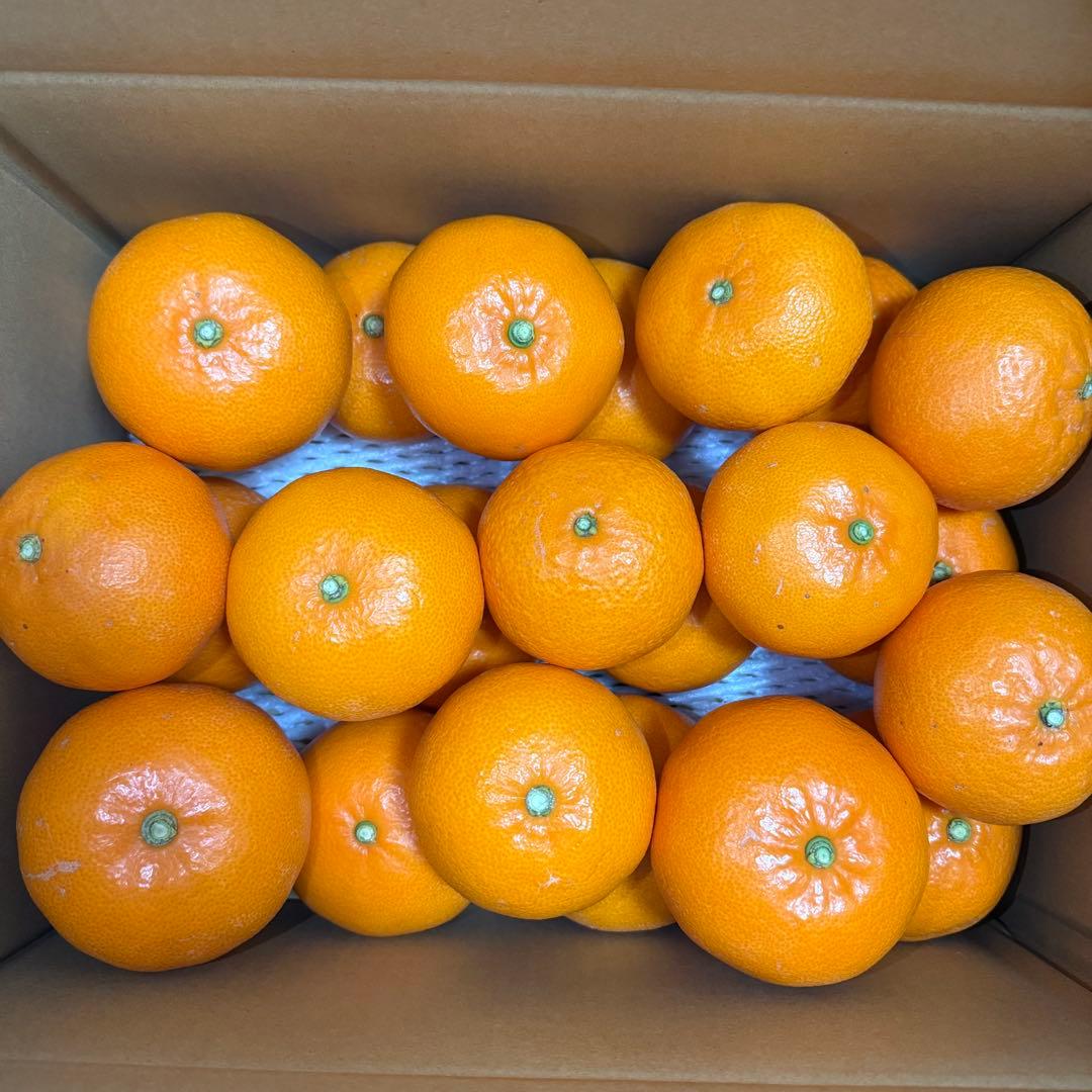 せとか(5kg)x2・特選L-3L玉