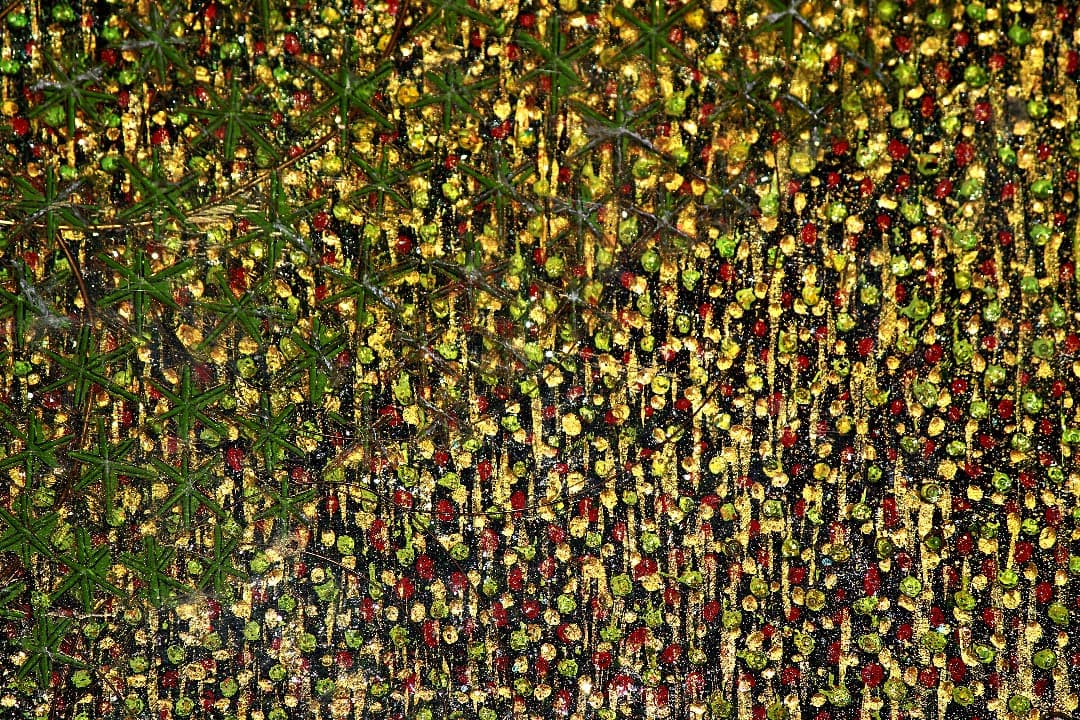 絵画　大西佐奈 かみさまのわ（2005）サイズ：約1m X 1m  値下げ！