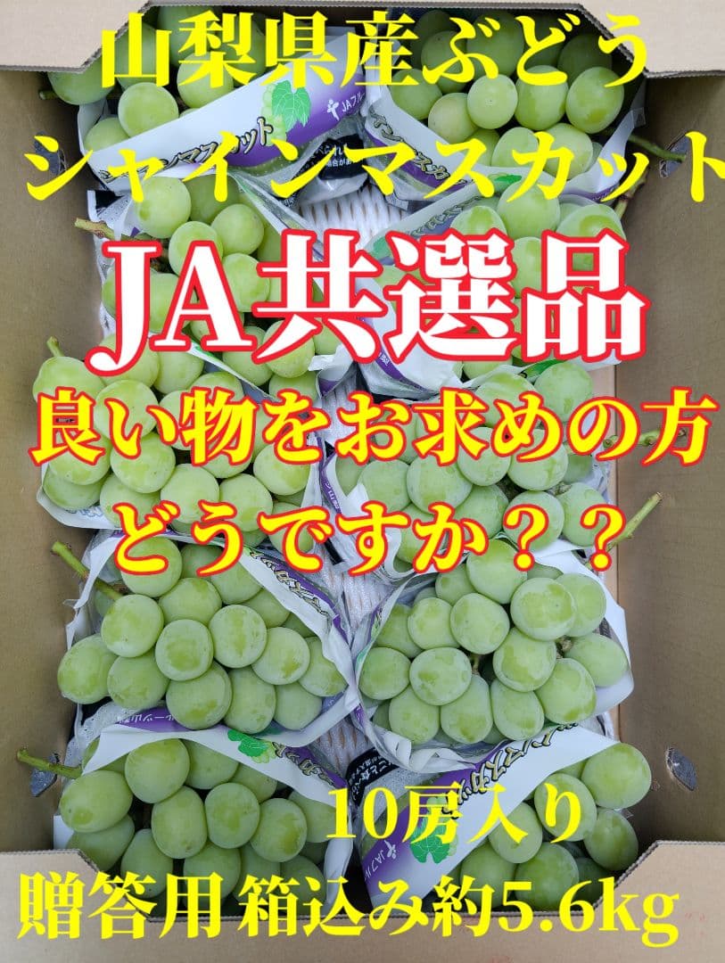 山梨県産ぶどう　シャインマスカット　10房入り箱込み約5.6kg