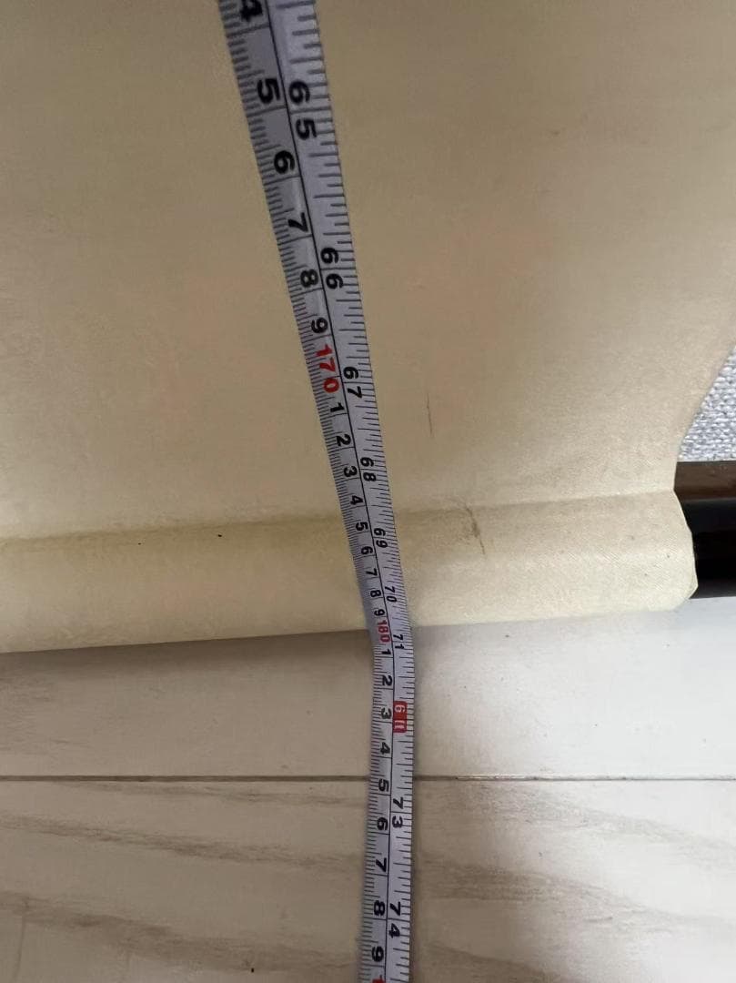 田中 野夫専用 水墨肉筆　錦鶏花葉太湖石図　南田沈銓 掛軸 中国美術(Y-12)