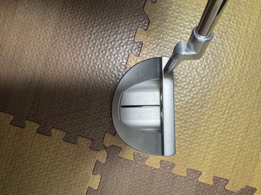 キャメロン2013 GOLO5 TCC