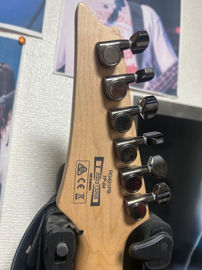 ギター Ibanez RG421PB EMG89