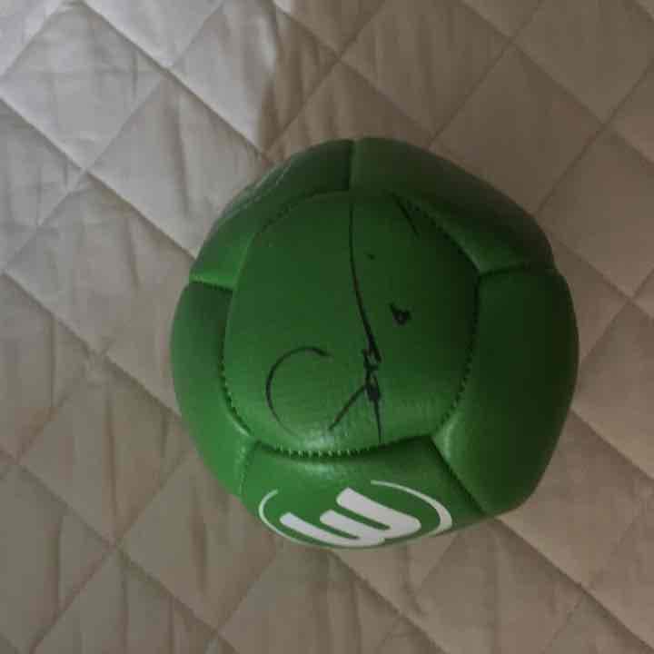 【スーパーレア】ウォルフスブルク サッカー 長谷部 酒井 サイン サインボール