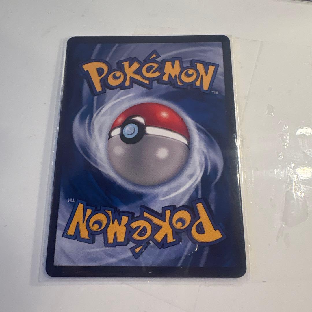 星月夜 イーブイ リザードン ゼニガメ