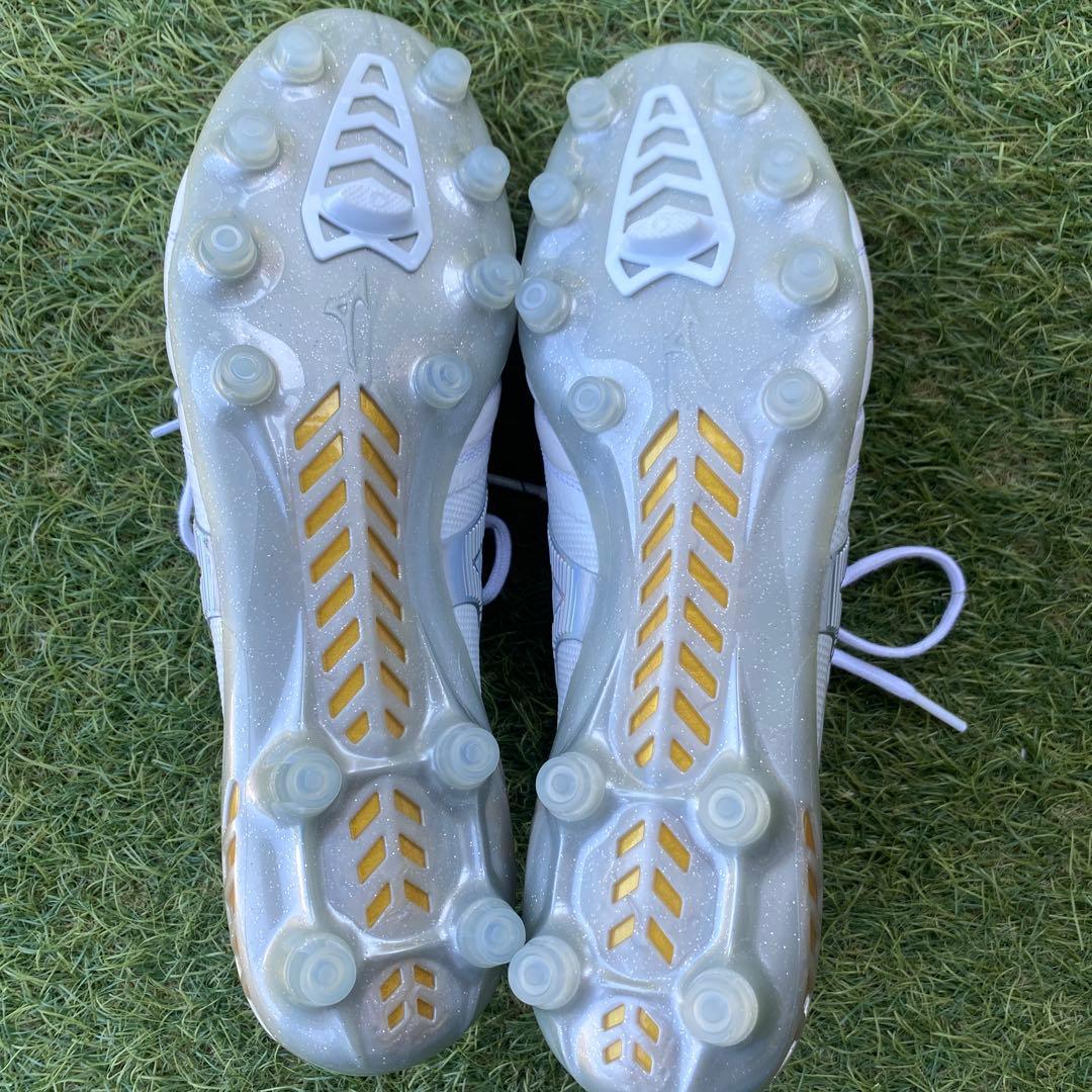 モレリアネオ3βジャパン　　シャイニングカラー