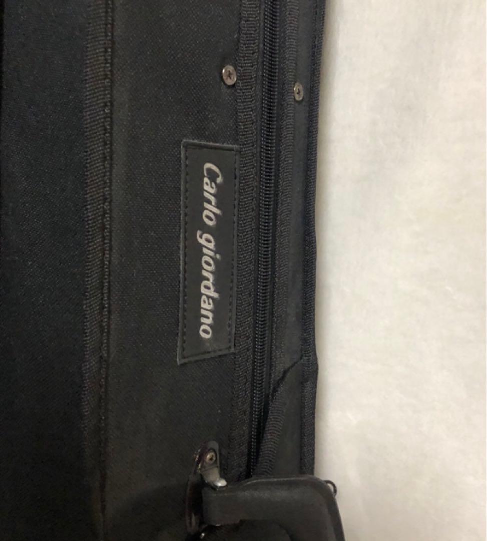 Carlo giordano/カルロジョルダーノ エレキバイオリン EV-202