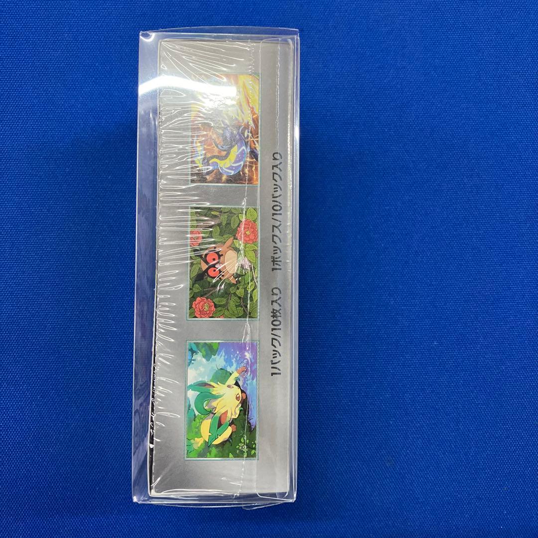 【新品】【1月25日倉庫一掃最終日】テラスタルフェスexシュリンク付