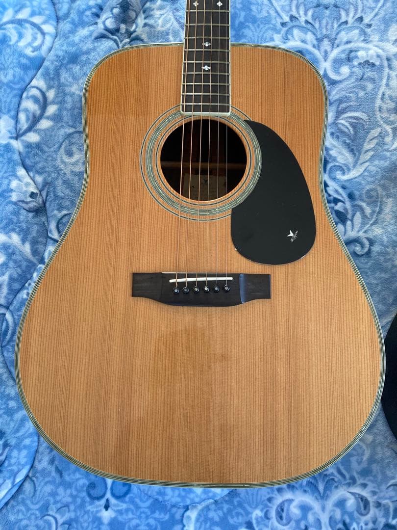 ヤイリ アコギ YW500P 1981年 カポCP-200