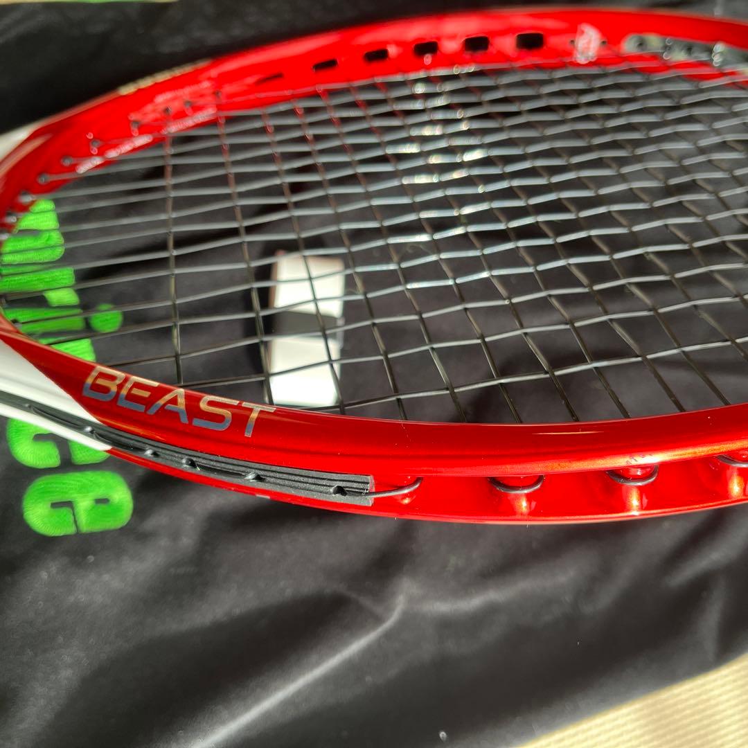 プリンスビーストマックス100（G2）300g 1か月使用美品