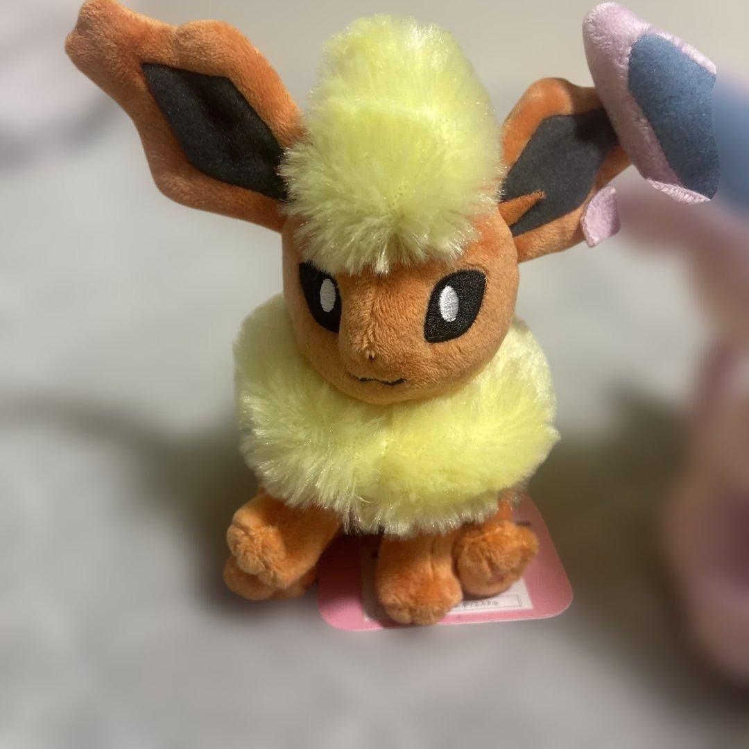 【ポケモン】ポケットモンスター　ブイズ8種セット♡ポケモンセンター産♡