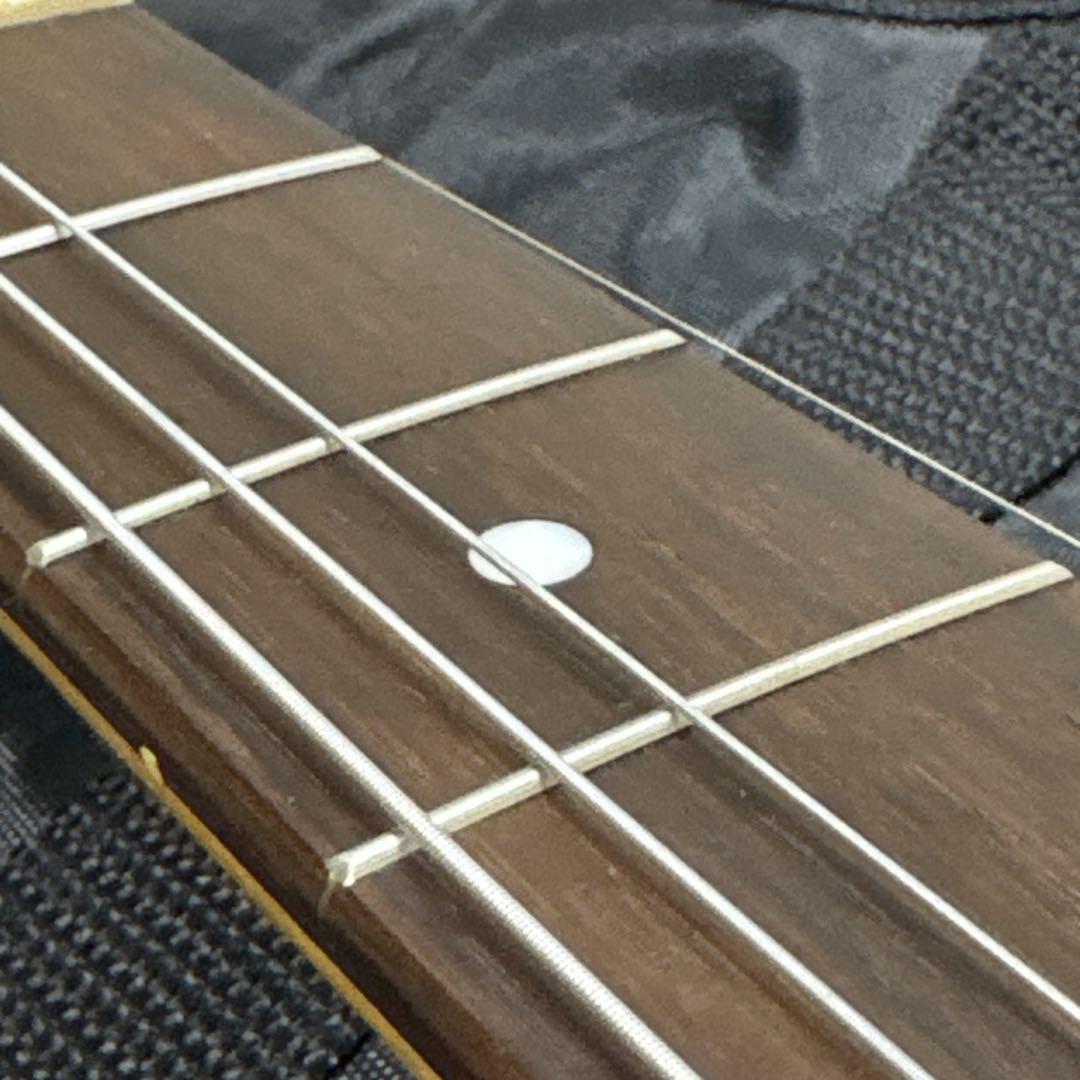 フォトジェニック　テレキャスタータイプ