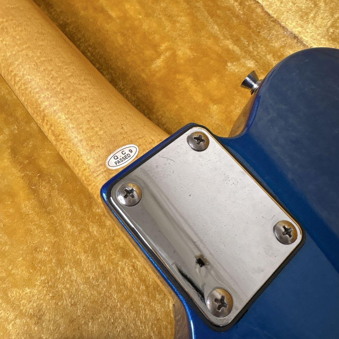 フォトジェニック　テレキャスタータイプ