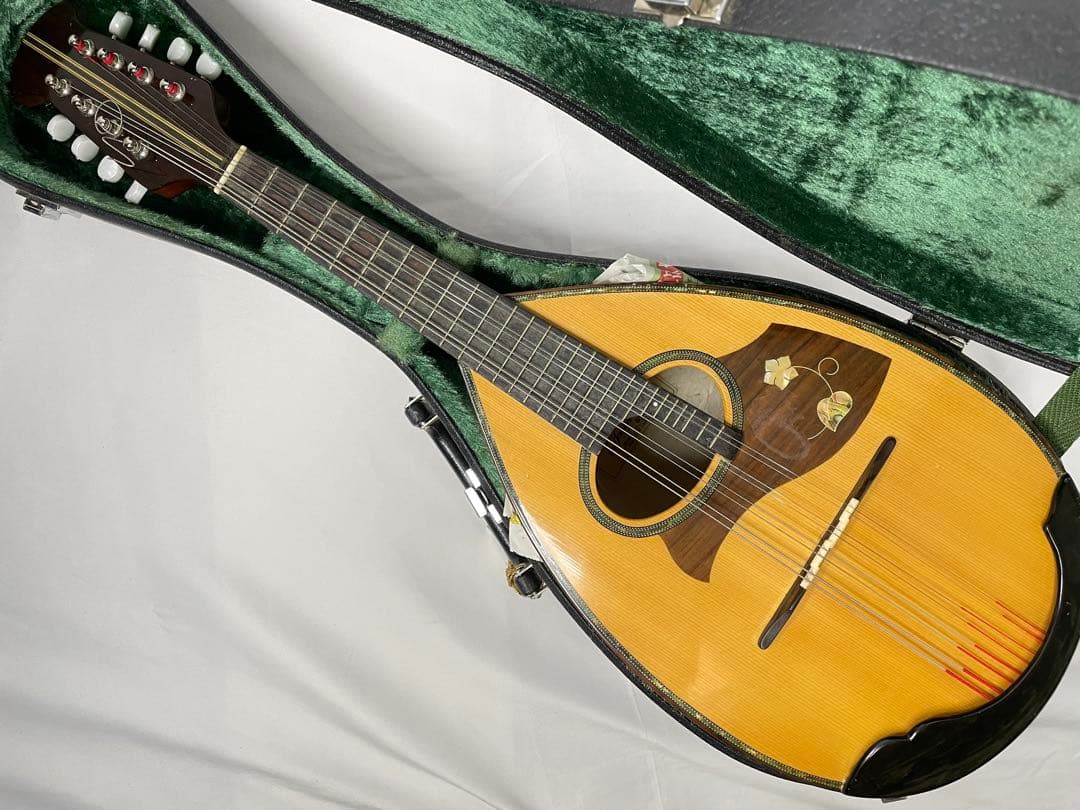 恵那/エナマンドリン M800 ラウンドクラシック