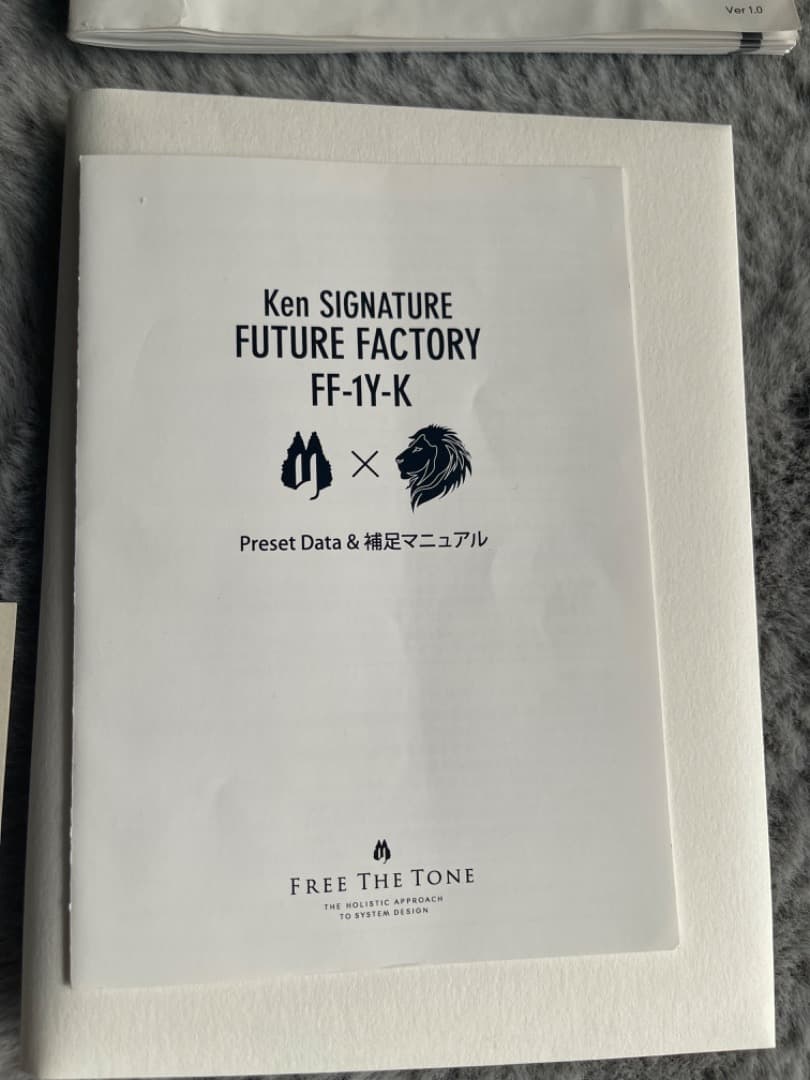 ギター FREE THE TONE FUTURE FACTORY FF-1Y-K