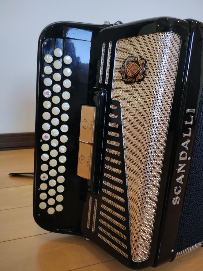 ⭐︎イタリア製⭐︎SCANDALLI ボタン式アコーディオン ソフトケース付