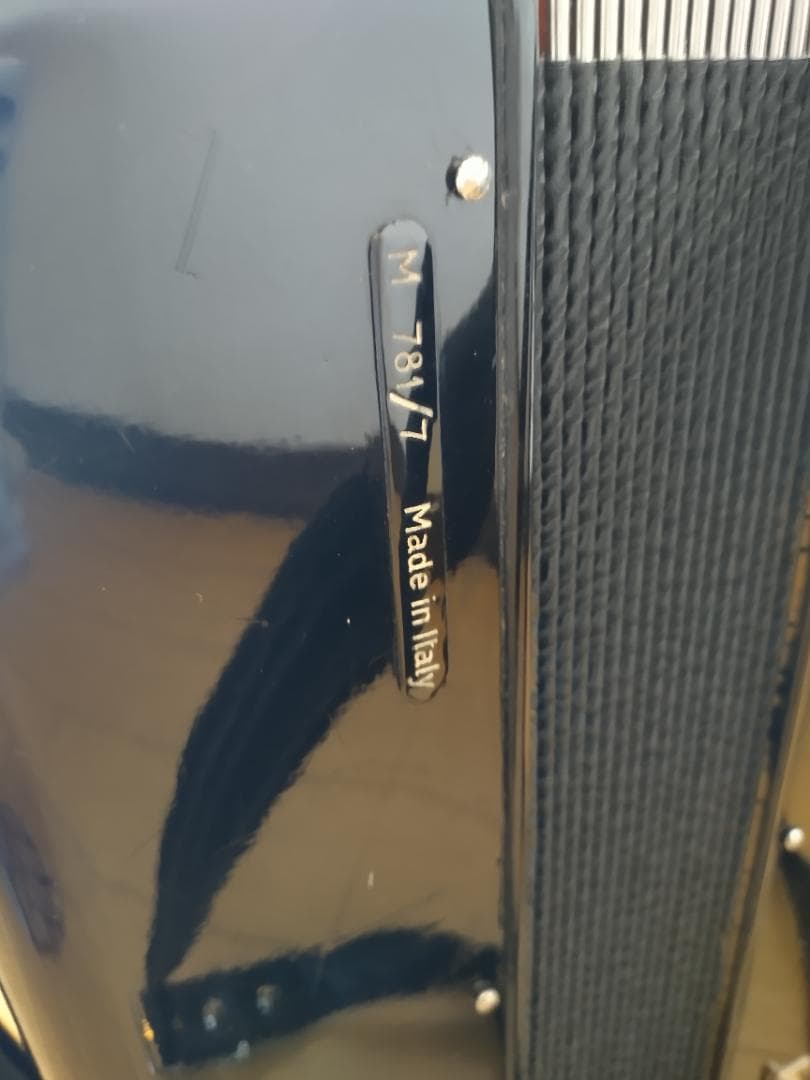 ⭐︎イタリア製⭐︎SCANDALLI ボタン式アコーディオン ソフトケース付