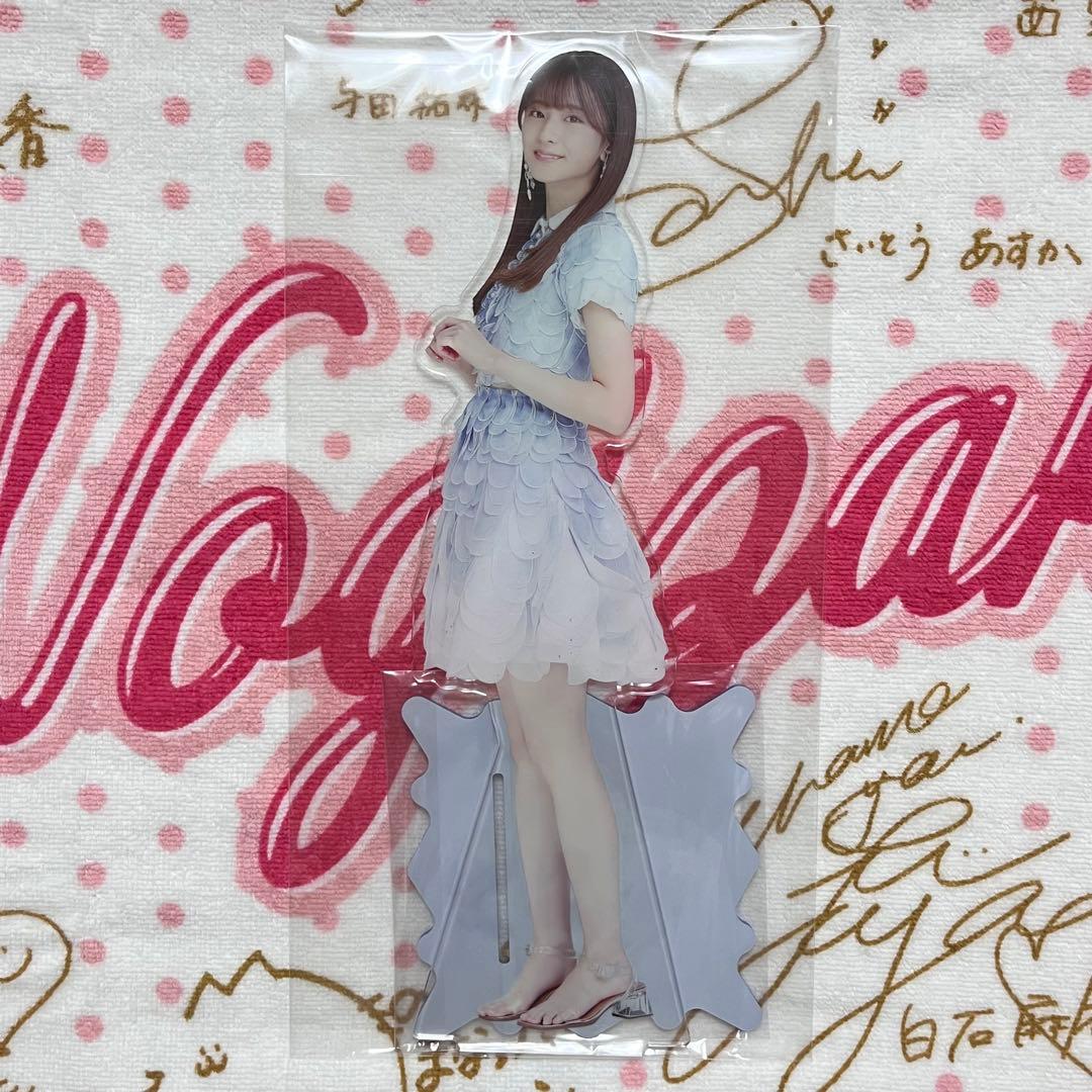 乃木坂46 菅原咲月 2024年 個別ランダムBIGアクリルスタンド