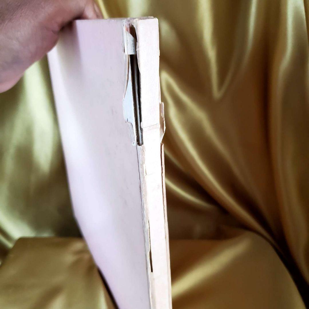 超超超激レア★1979年頃の物★ファンクラブ限定ピンク・レディー写真アルバム/他