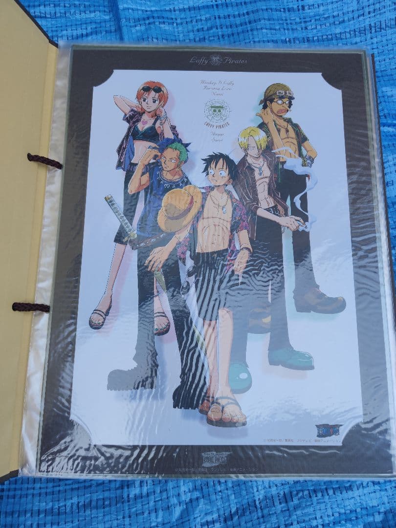 ONE PIECE ポートフォリオ　ルフィ　ゾロ　ナミ　サンジ　ポートレート付き