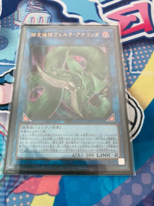 本格大会構築 【幻影勇者フェニックス】デッキ&エクストラ&三重スリーブ