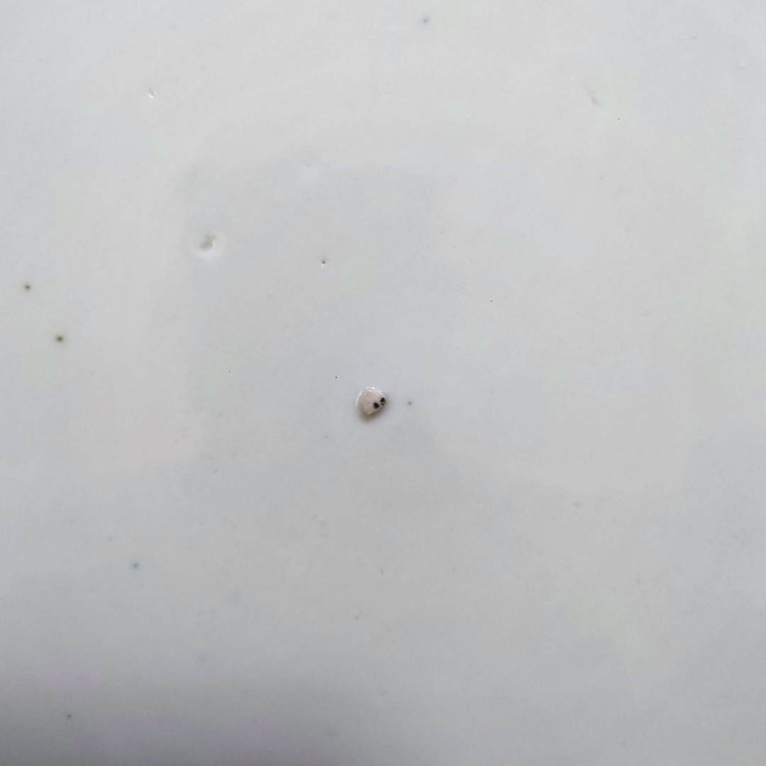 新春特価⚫希少特大皿⚫古伊万里色絵松竹梅花唐子図大皿⚫直径約46.5cm大正時代