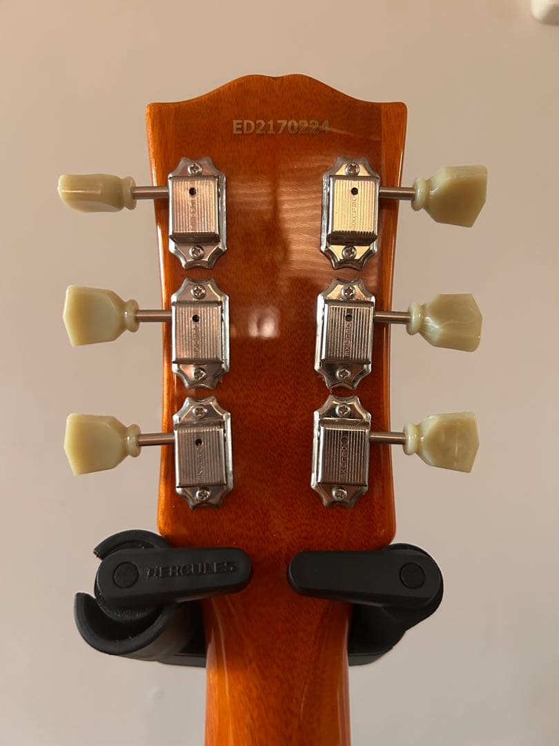 EDWARDS ( エドワーズ )E-LP-125SD Gold Top