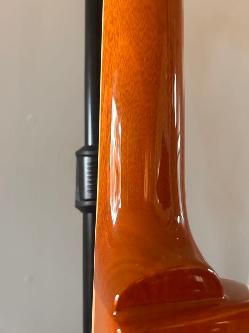 EDWARDS ( エドワーズ )E-LP-125SD Gold Top