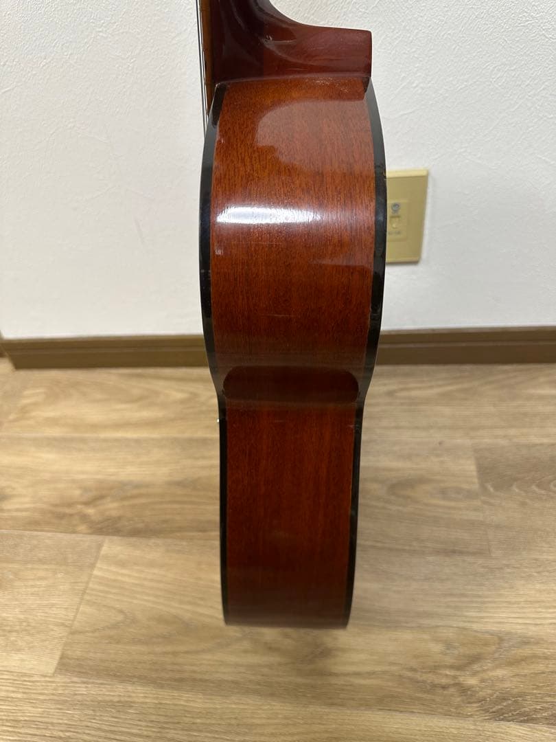 Elite Takamine アコースティックギター F80　ナチュラルウッド