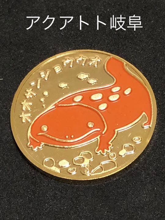 アクア・トトぎふ★オオサンショウウオ☆記念メダル★茶平