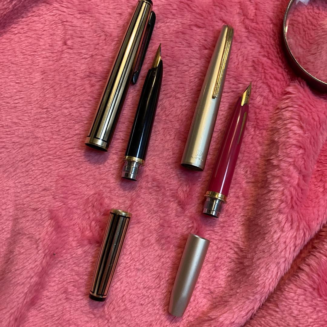 共にPLUTINUM18K, 黒の方は中字、ピンクは細軟。