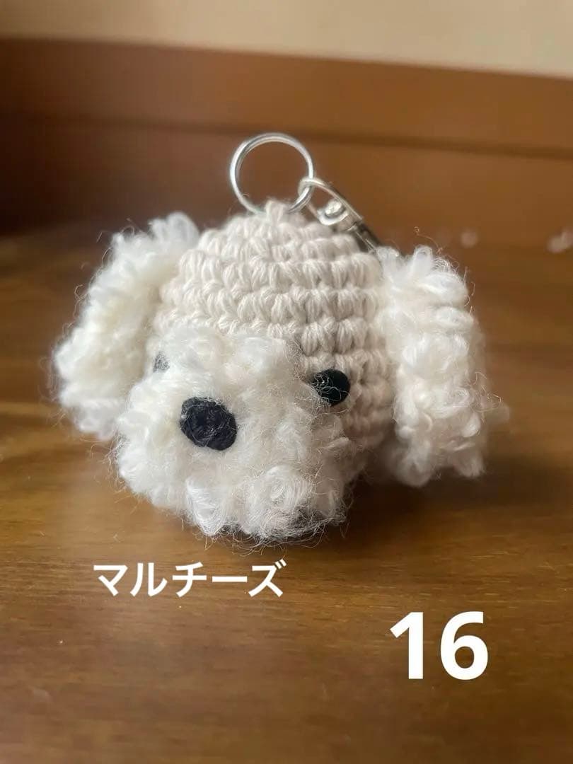 ゴルフボールケースオーダー専用