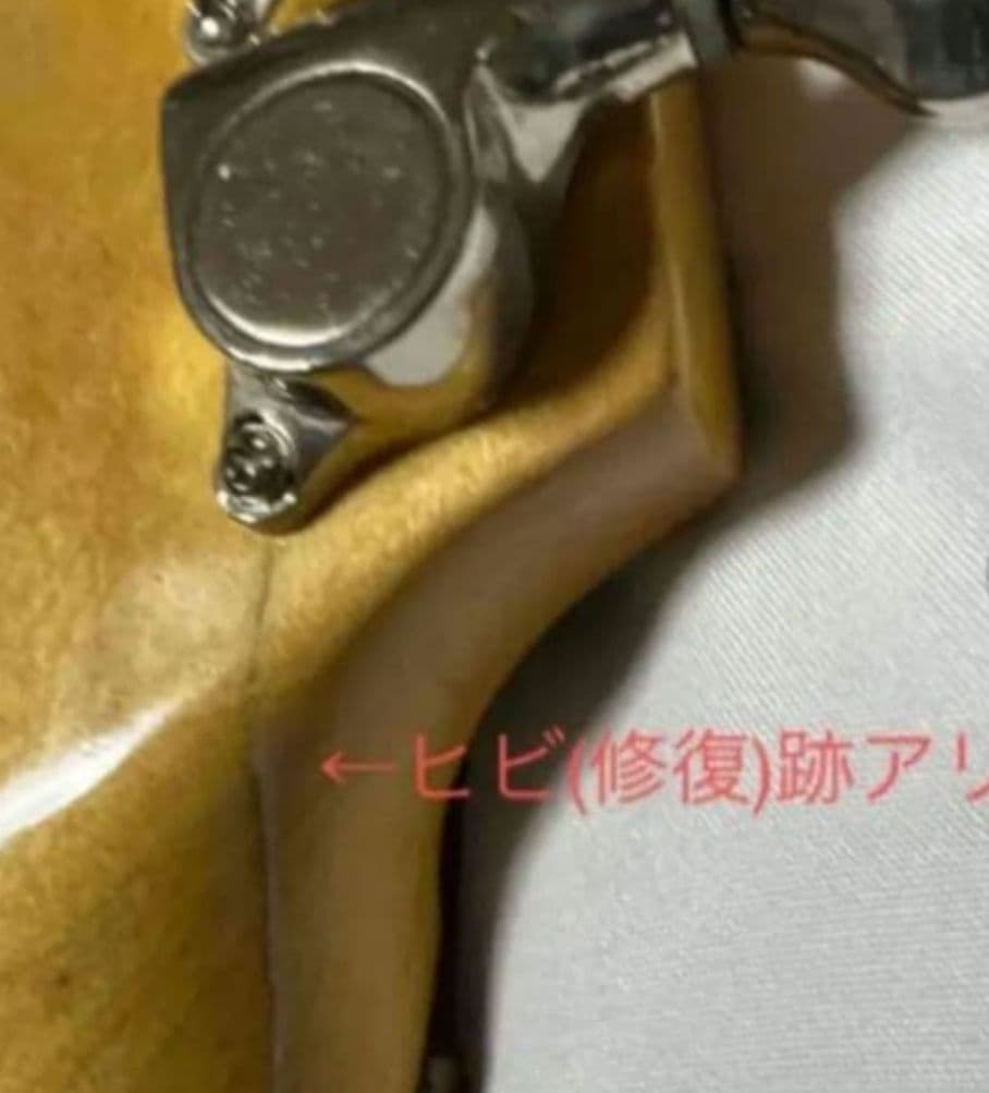 Santanu Pro 光るギター