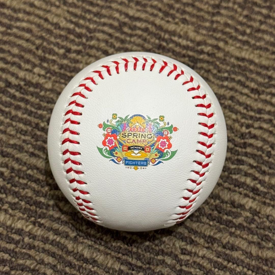 北海道日本ハムファイターズ 水谷瞬 直筆サインボール 名護キャンプ！ユニフォーム