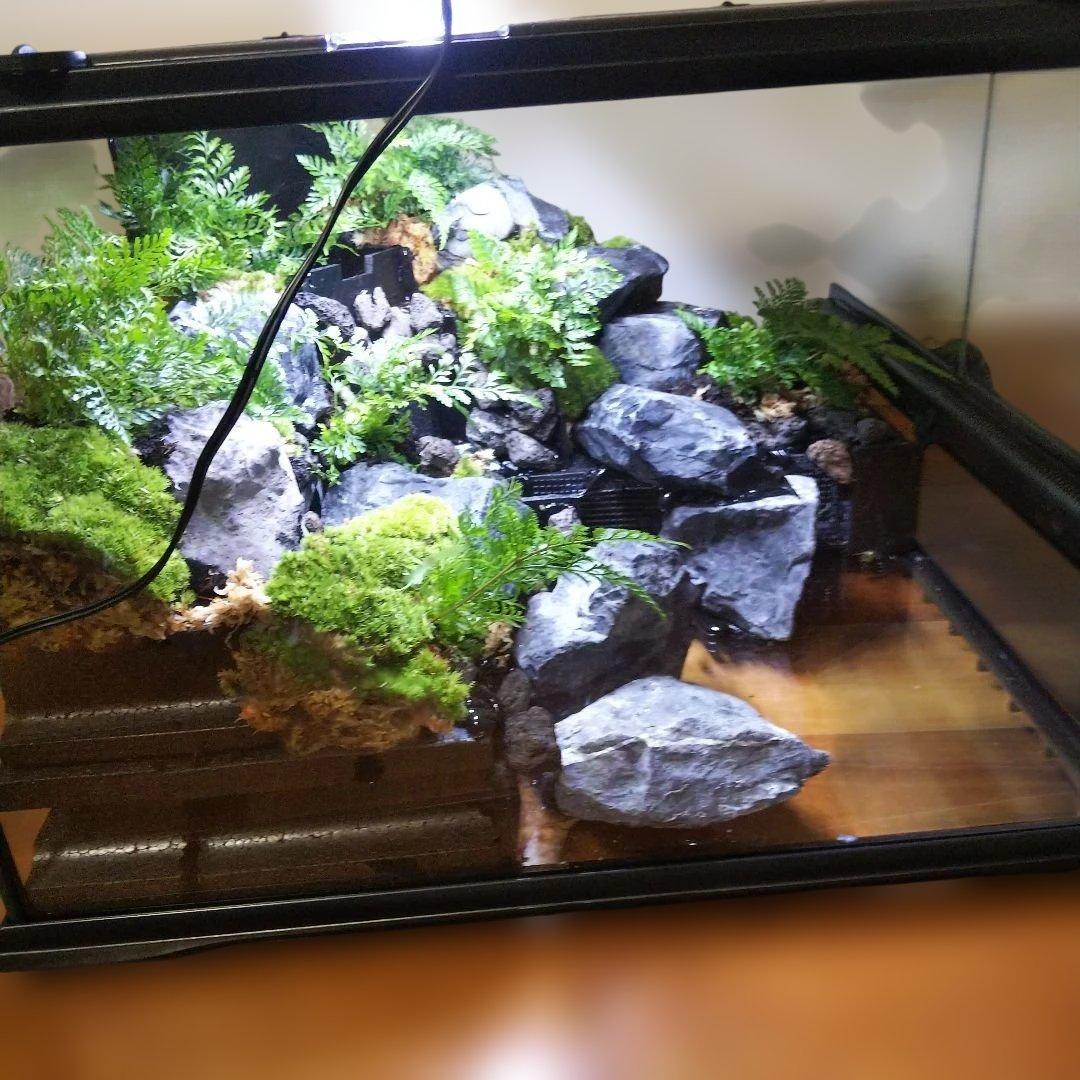 【受注生産】滝のあるアクアテラリウム　グラステラリウム 4530イモリウム