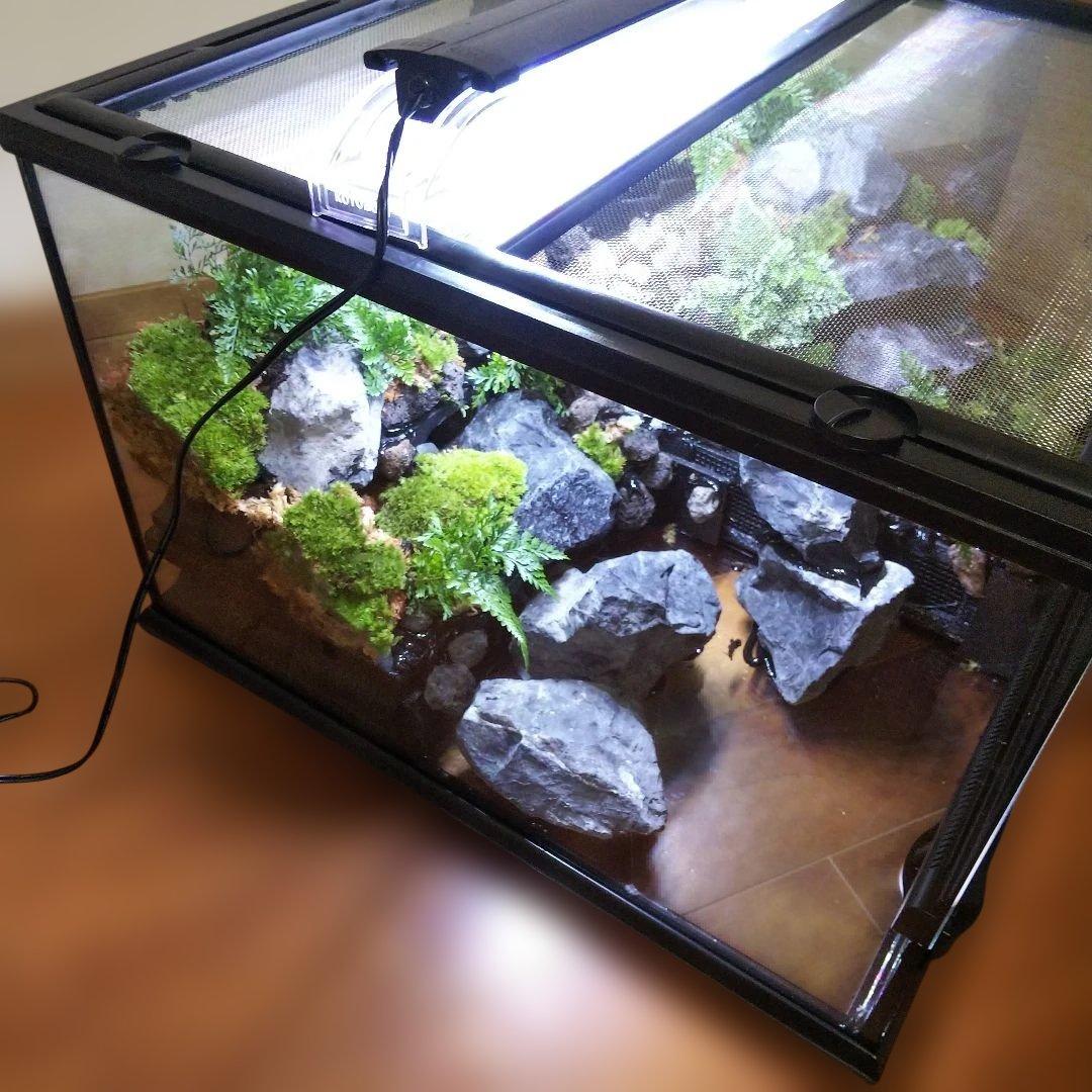 【受注生産】滝のあるアクアテラリウム　グラステラリウム 4530イモリウム