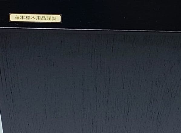 f*t様 藤本標本用品謹製