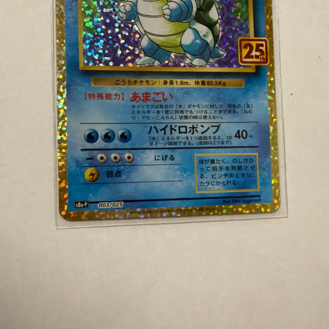 【レア】25周年 ガブリアスとカメックスのカードセット