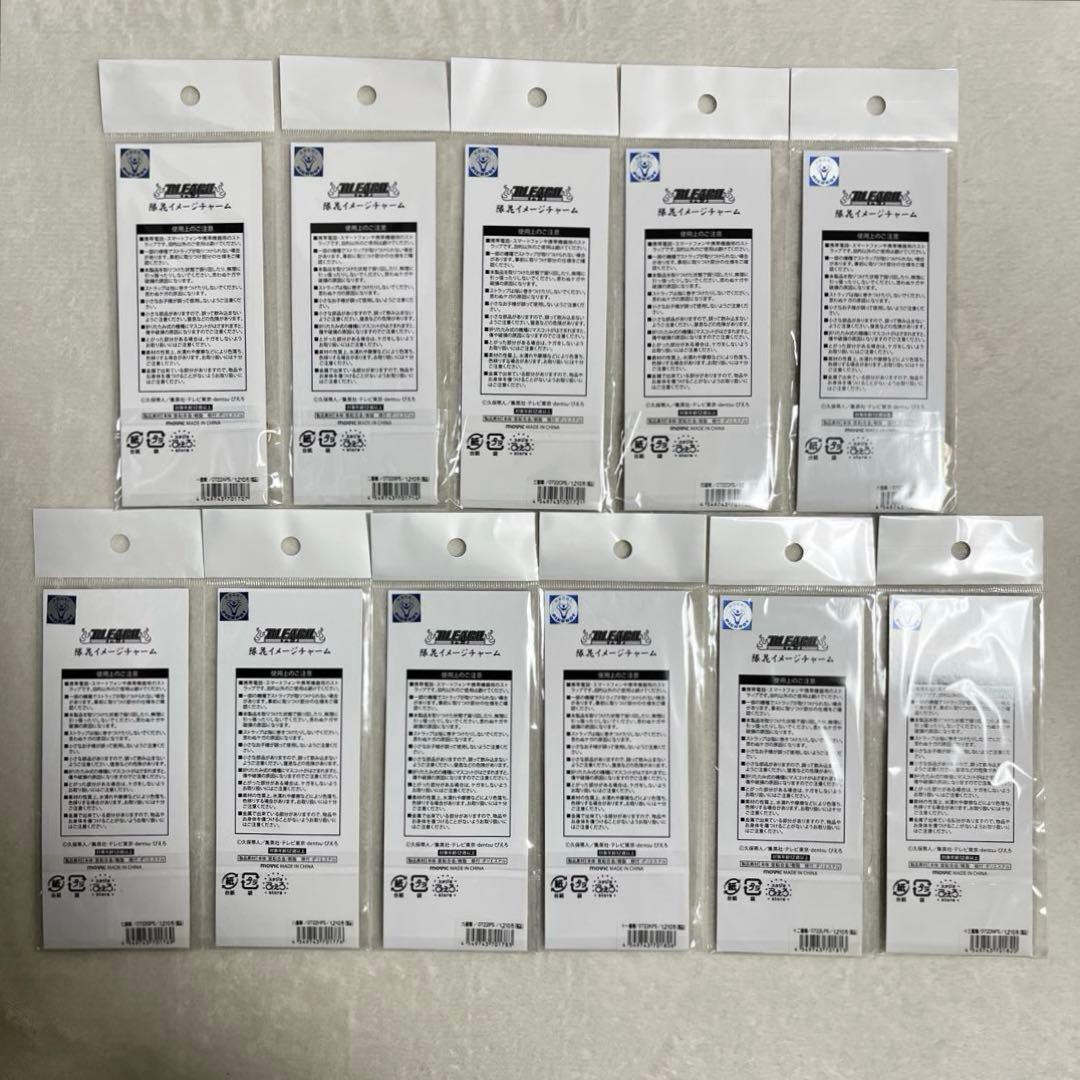 【新品未開封】BLEACH 隊花イメージチャーム 2種抜け