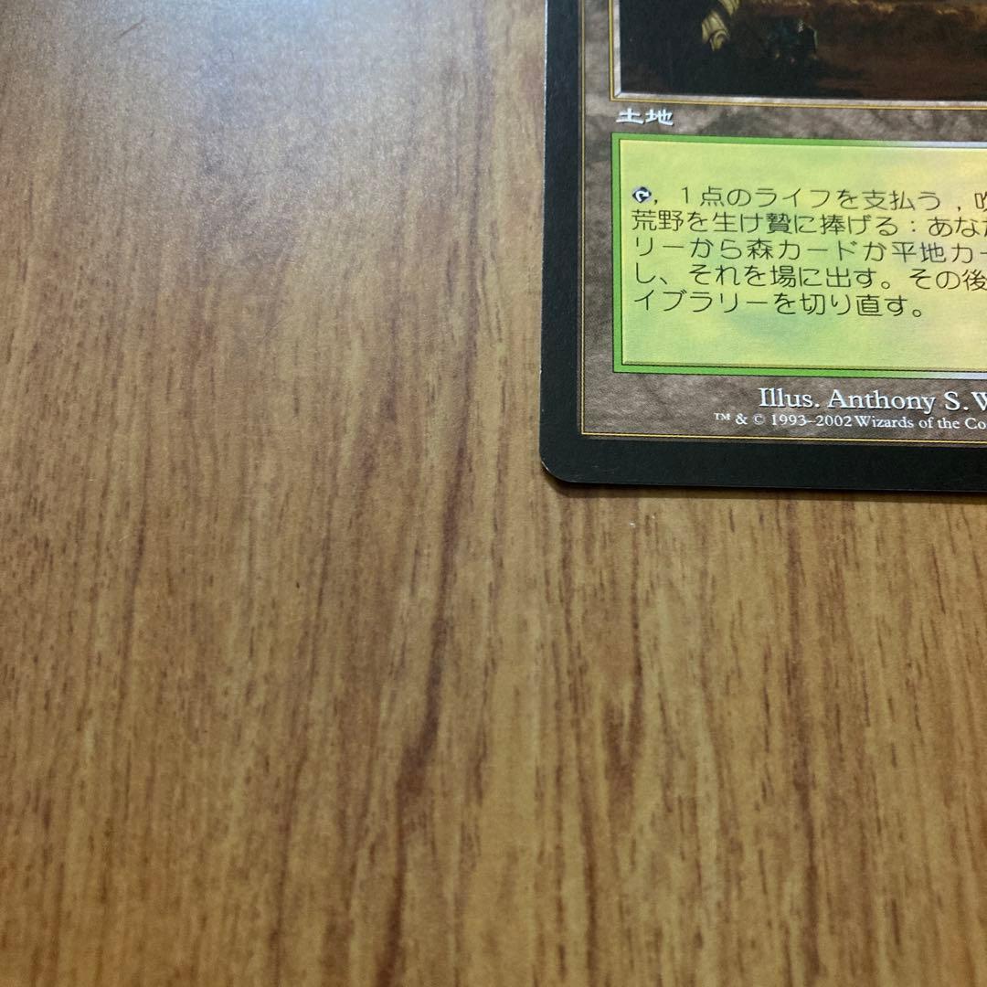 吹きさらしの荒野(日1枚)