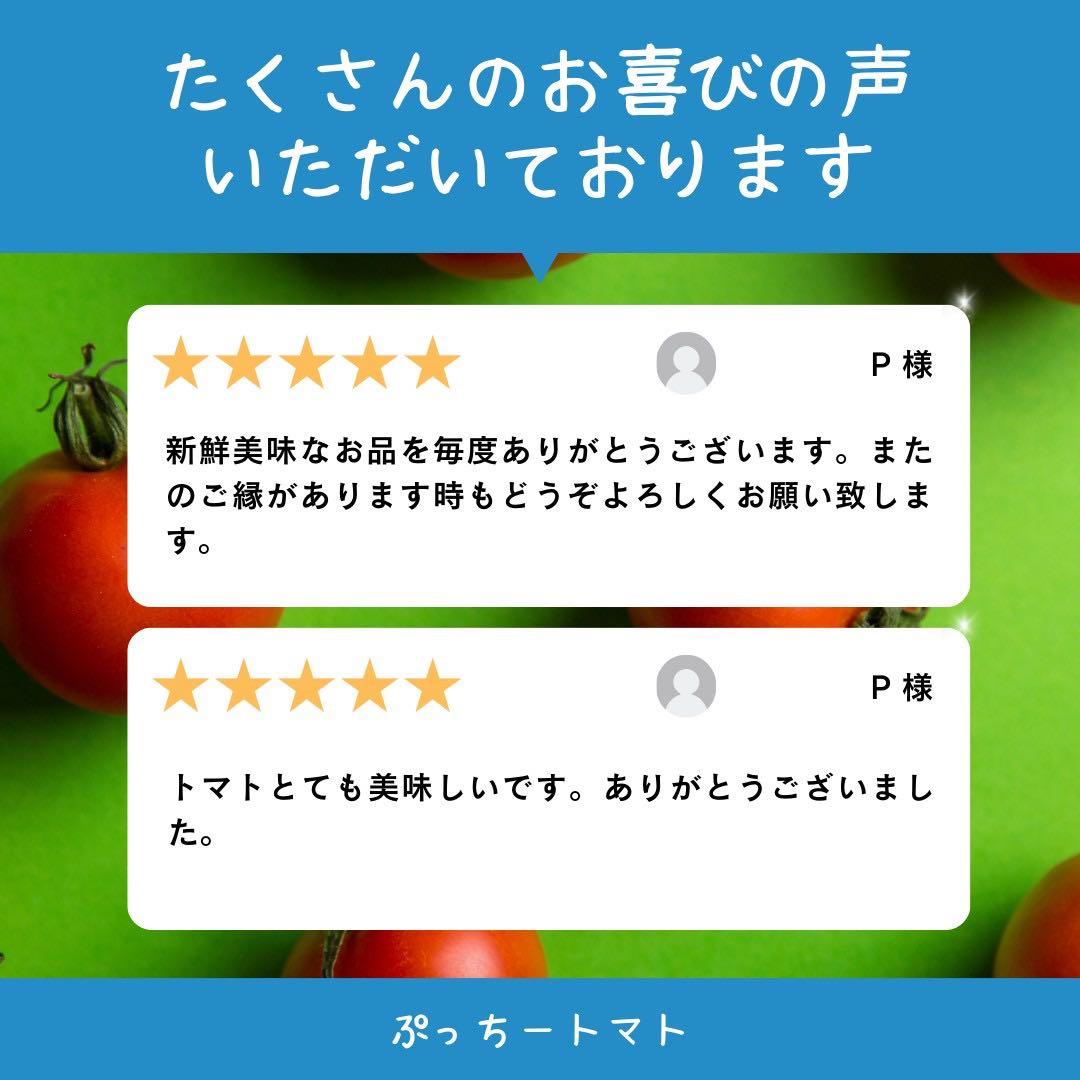 ミニトマト　9キロ　野菜　熊本　おやつ　弁当　おかず　ミネラル　リコピン