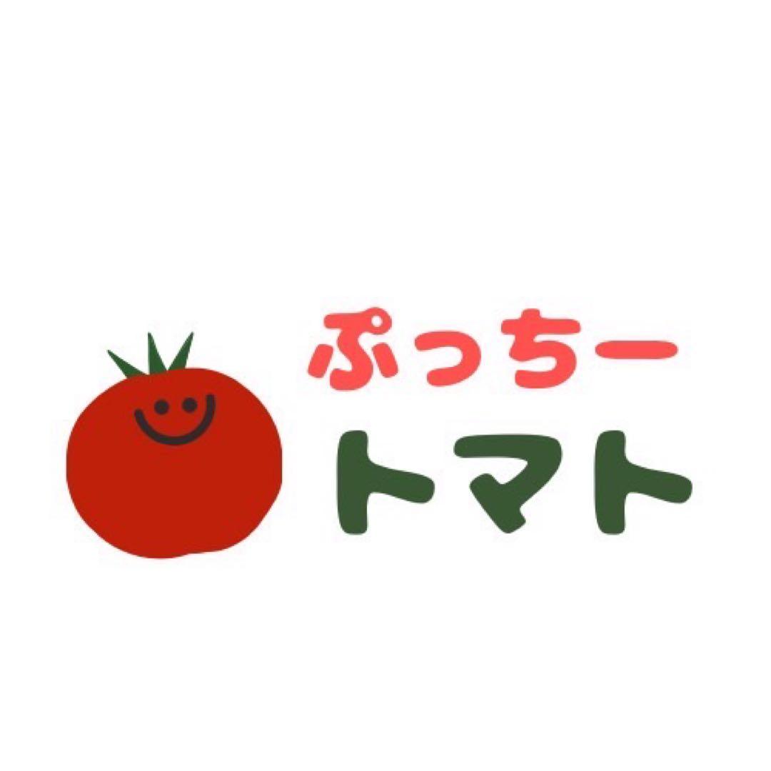 ミニトマト　9キロ　野菜　熊本　おやつ　弁当　おかず　ミネラル　リコピン