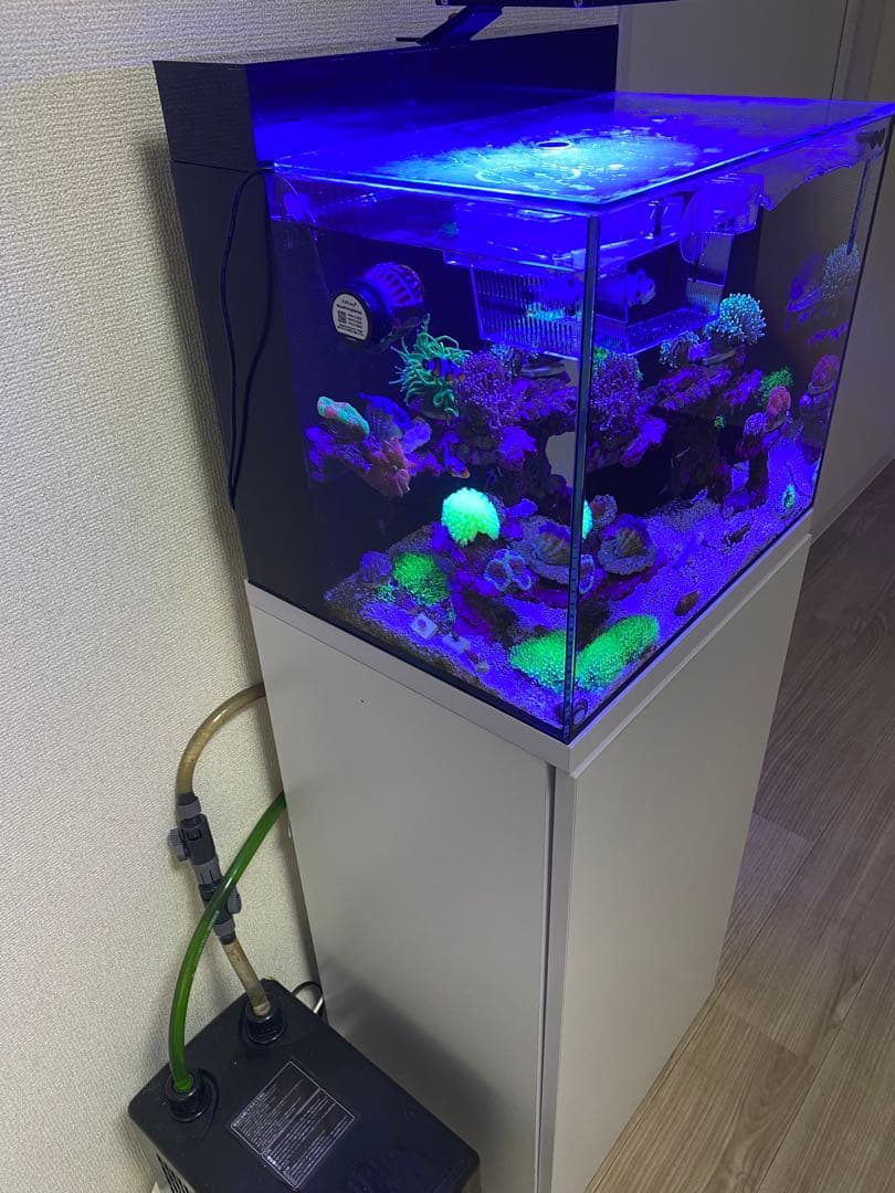 【引取限定】SHELL2 その他飼育セット