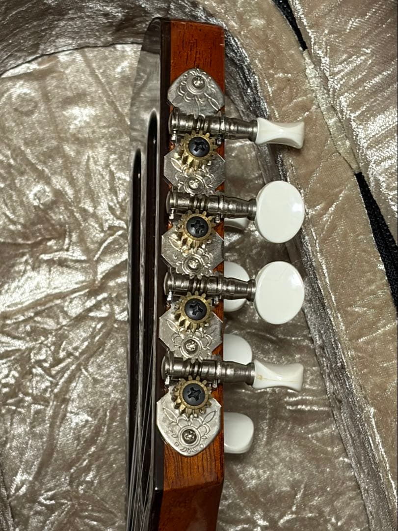 ✴︎美品✴︎お得✴︎ スズキ製マンドリン M-30 & 美品スーパーライトケース付き