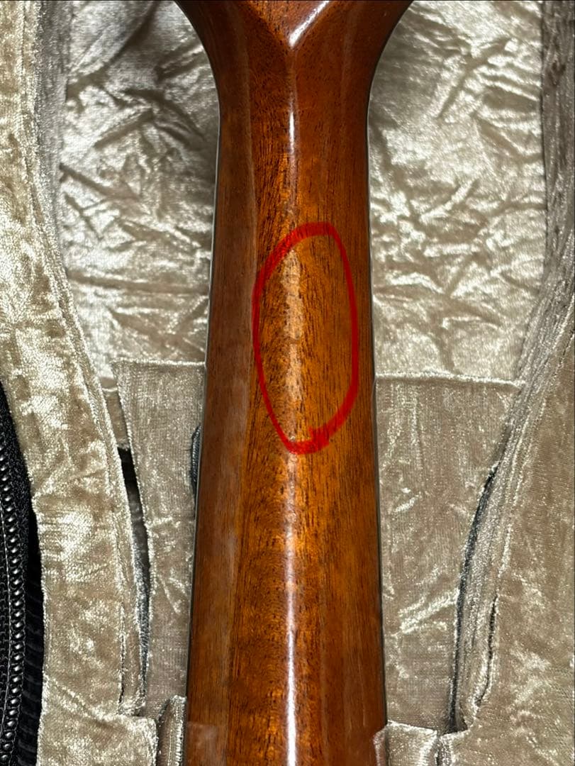 ✴︎美品✴︎お得✴︎ スズキ製マンドリン M-30 & 美品スーパーライトケース付き