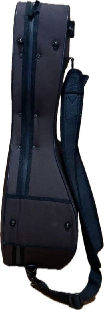 ✴︎美品✴︎お得✴︎ スズキ製マンドリン M-30 & 美品スーパーライトケース付き