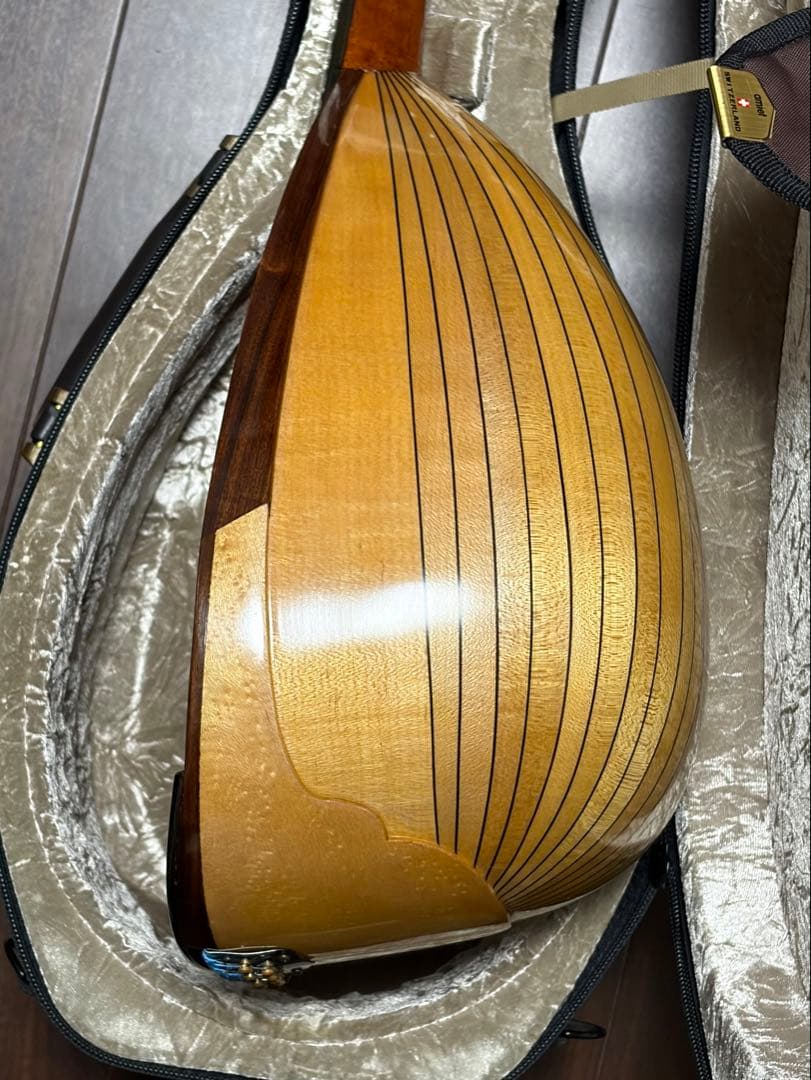 ✴︎美品✴︎お得✴︎ スズキ製マンドリン M-30 & 美品スーパーライトケース付き