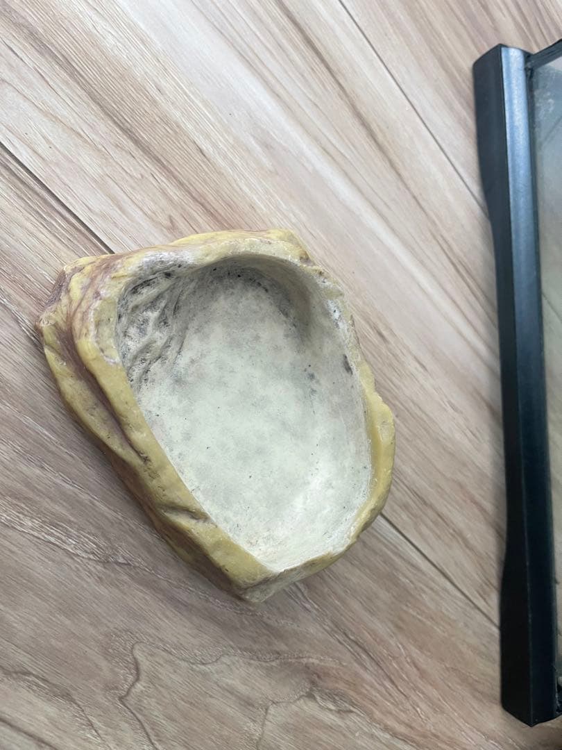 ☆値下げ☆グラステラリウム3030　爬虫類ケージ　セット