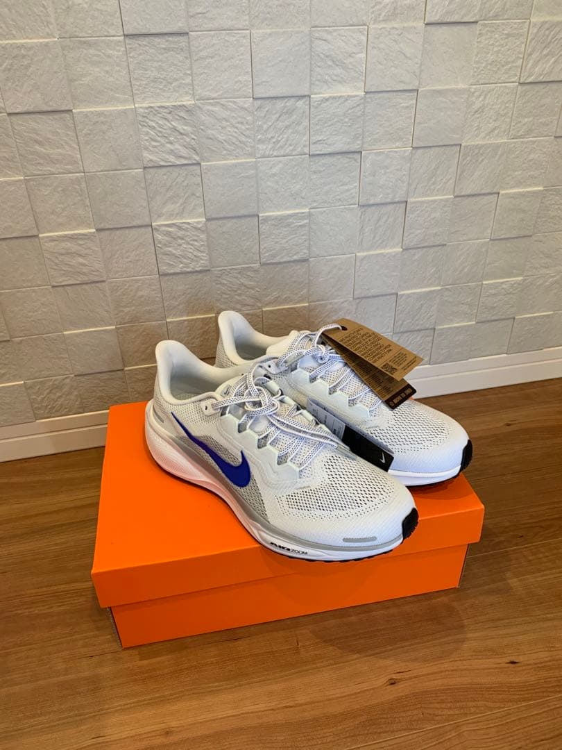 26cm ナイキ　ペガサス41