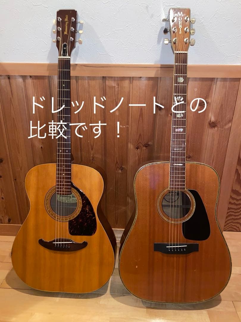 やっほー‼️貴重！トーカイTOKAI 　ハミングバード　０フレット